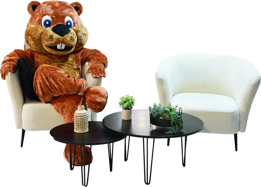 בונה על כורסאות